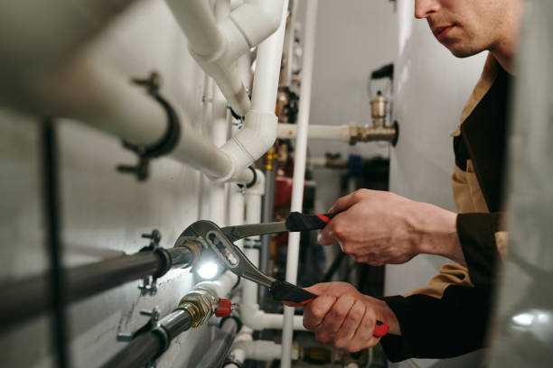 Best Local Plumber Services  in Palisades Park, NJ