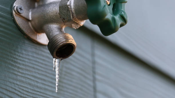 Best Plumbing Services Near Me  in Palisades Park, NJ